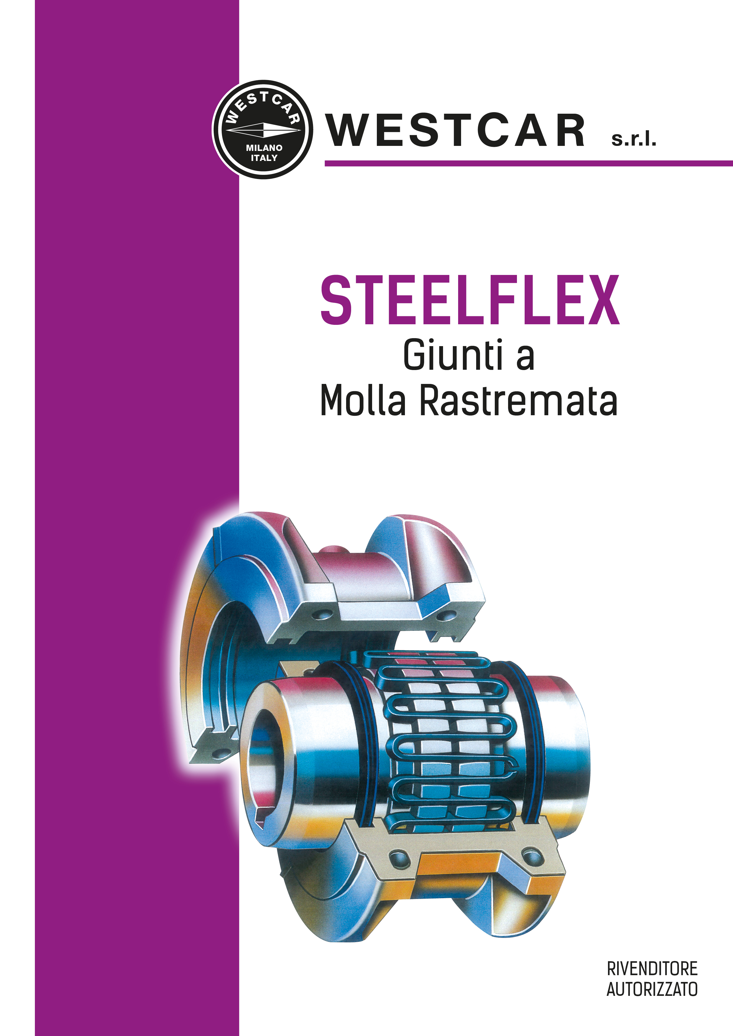 Falk-Steelflex 